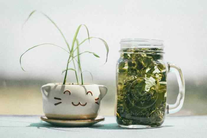 Grocery-reuse-jars-07