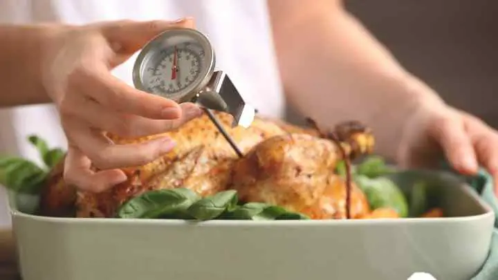 how to use a food thermometer