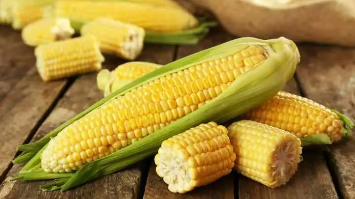 can you freeze corn on the cob - cheffist