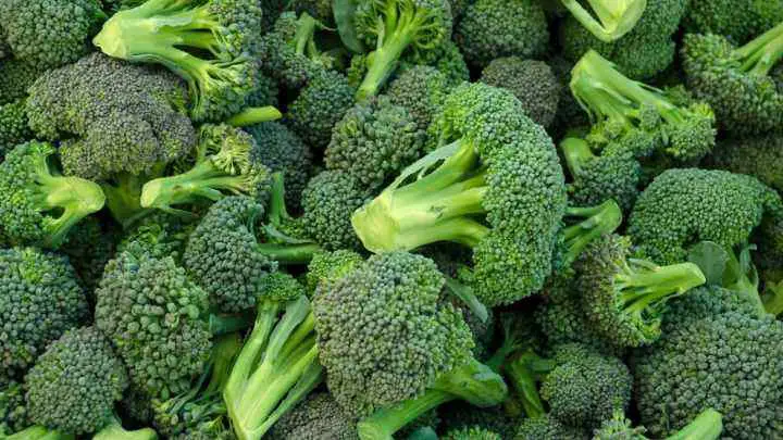is-broccoli-man-made-cheffist