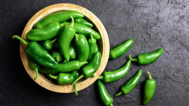 jalapeno green chili substitute - cheffist