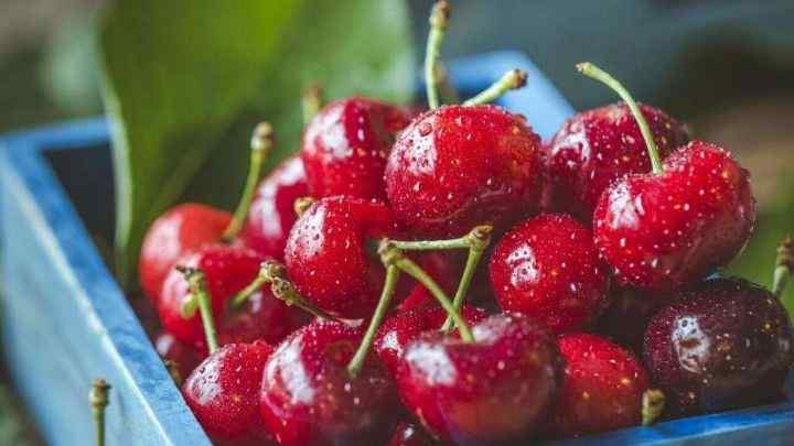 rainier-cherries-cheffist.jpg