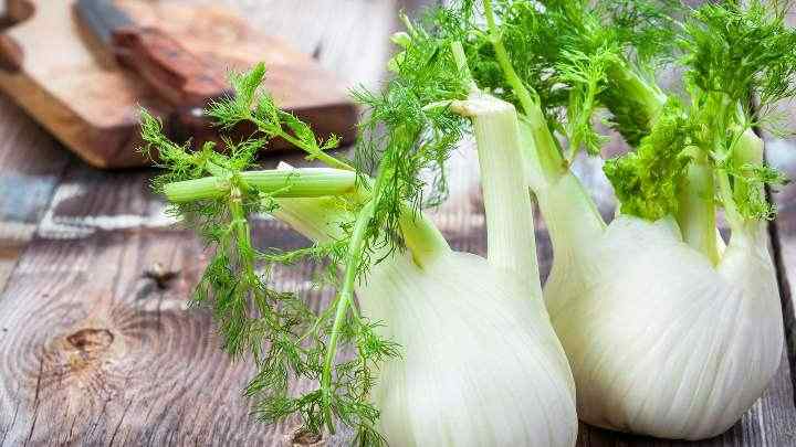 substitute for fennel