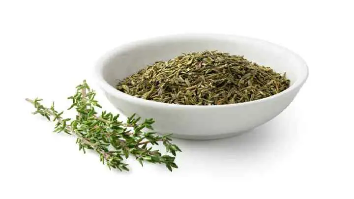 thyme substitute