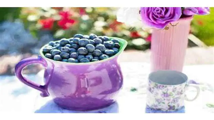 How-Long-Do-Blueberries-Last-in-the-Fridge-cheffist