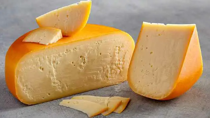 manchego cheese substitute