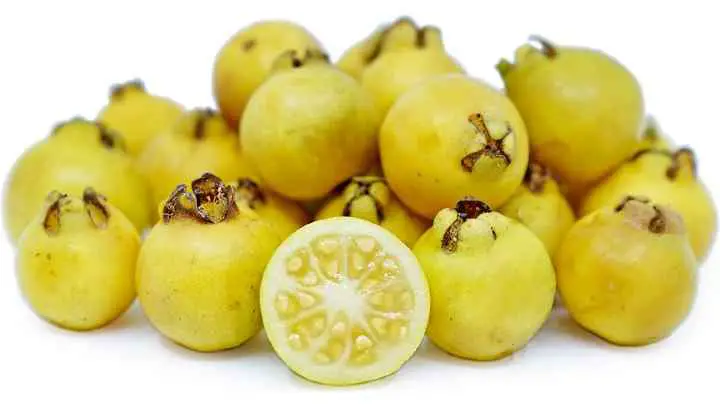 lemon-guava-cheffist.jpg