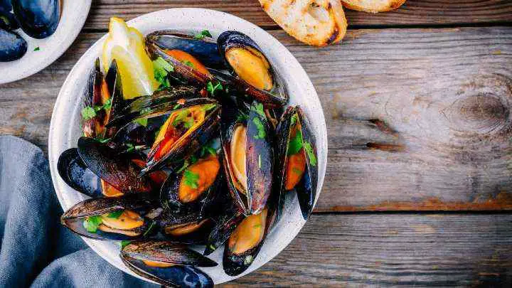mussel nutrients