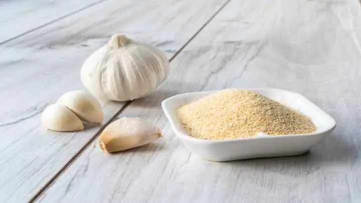 can you substitute garlic powder for garlic salt - cheffist