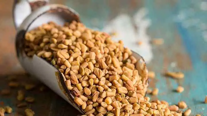 fennel seed substitutes - cheffist