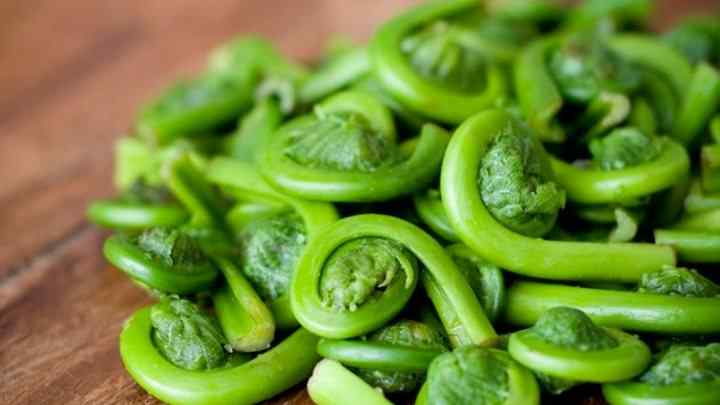 fiddleheads-foods-that-start-with-f-cheffist.jpg