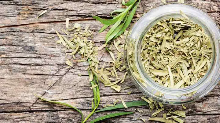 fennel seed substitutes - cheffist