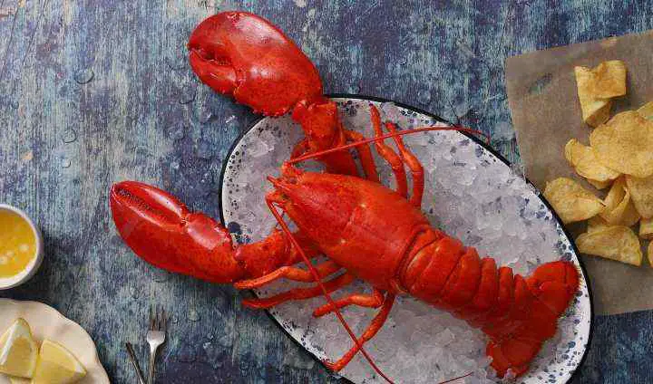 lobster types - cheffist
