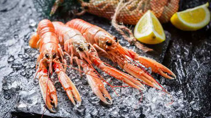 new zealand lobster - cheffist