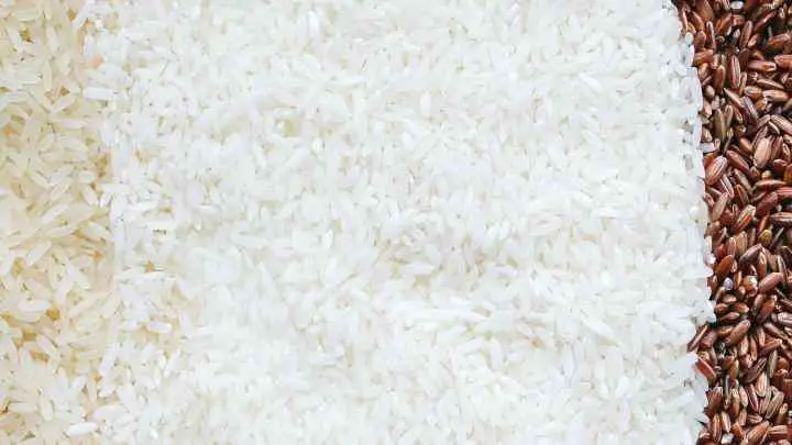 cups in 1 - 20 lbs Of rice