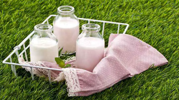 evaporated milk vs heavy cream