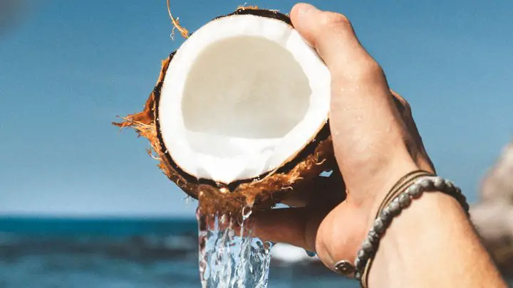 coconut a fruit