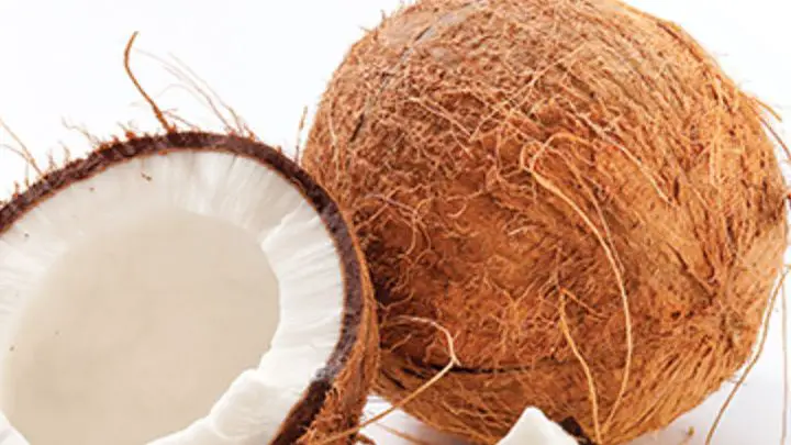 is coconut a fruit or vegetable