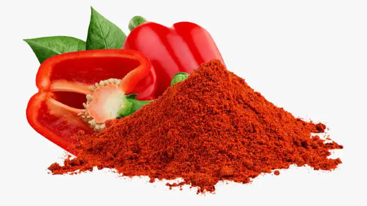 paprika bell pepper