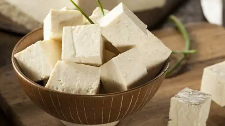 tofu-cottage-cheese-substitutes-in-lasagna-cheffist
