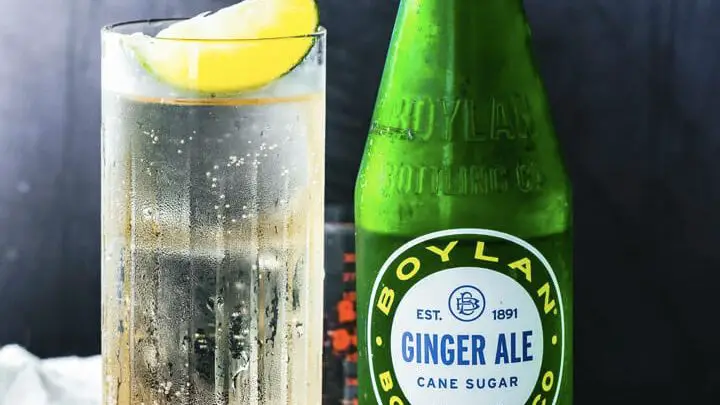 What Does Ginger Ale Taste Like Find Out Here Cheffist