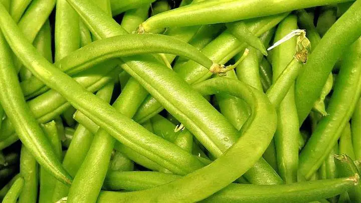 beans green