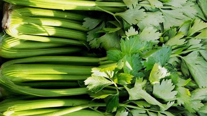 celery-leaves-pandan-leaves-substitutes-cheffist.jpg